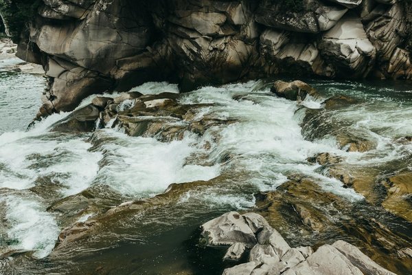 Explore norfolk's premier art galleries showcasing exceptional local artists